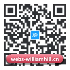 系统版 iOS 二维码